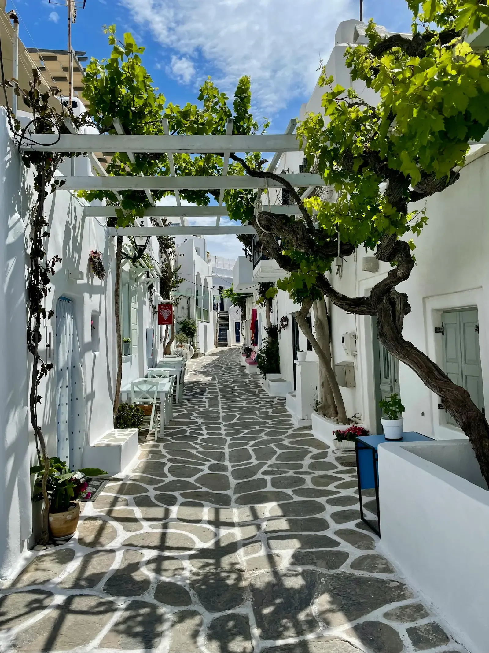 Discover hidden gems, on the streets of Paros.